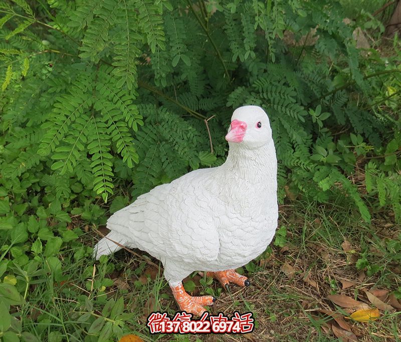 公園戶外樹(shù)脂擺件鴿子雕塑